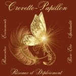 crevettepapillon.fr